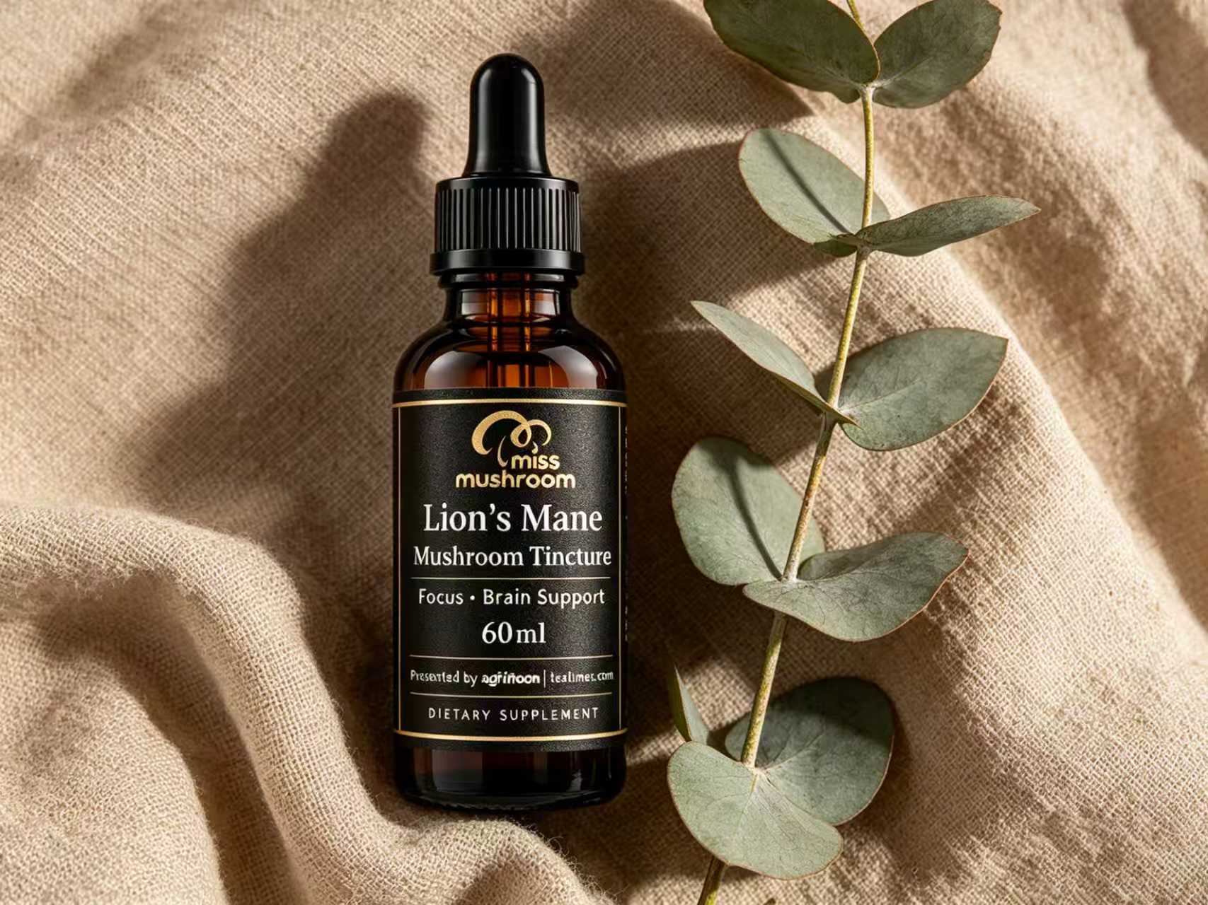Lion’s Mane Mushroom Tincture